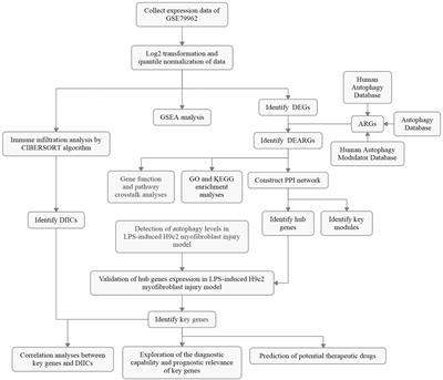 Dysregulated autophagy-related genes in septic cardiomyopathy: Comprehensive bioinformatics analysis based on the human transcriptomes and experimental validation